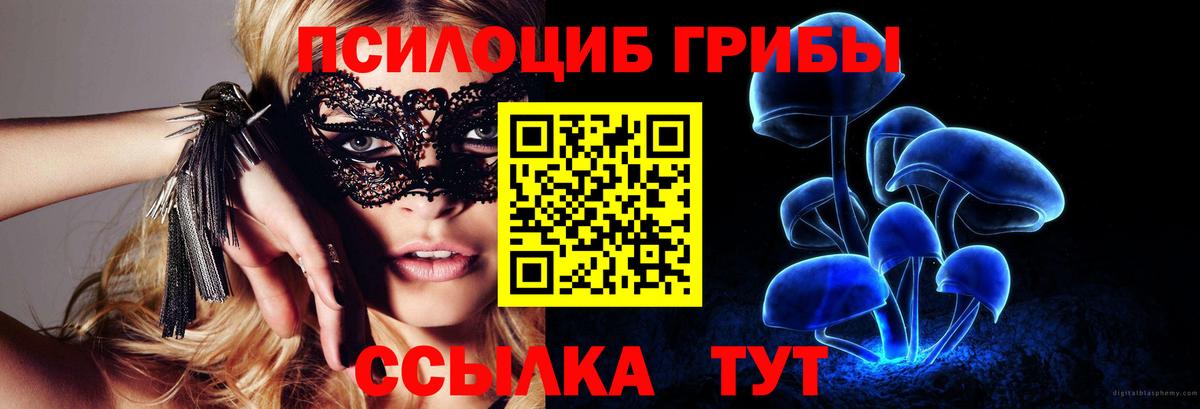 Галлюциногенные грибы MAGIC MUSHROOMS Урус-Мартан